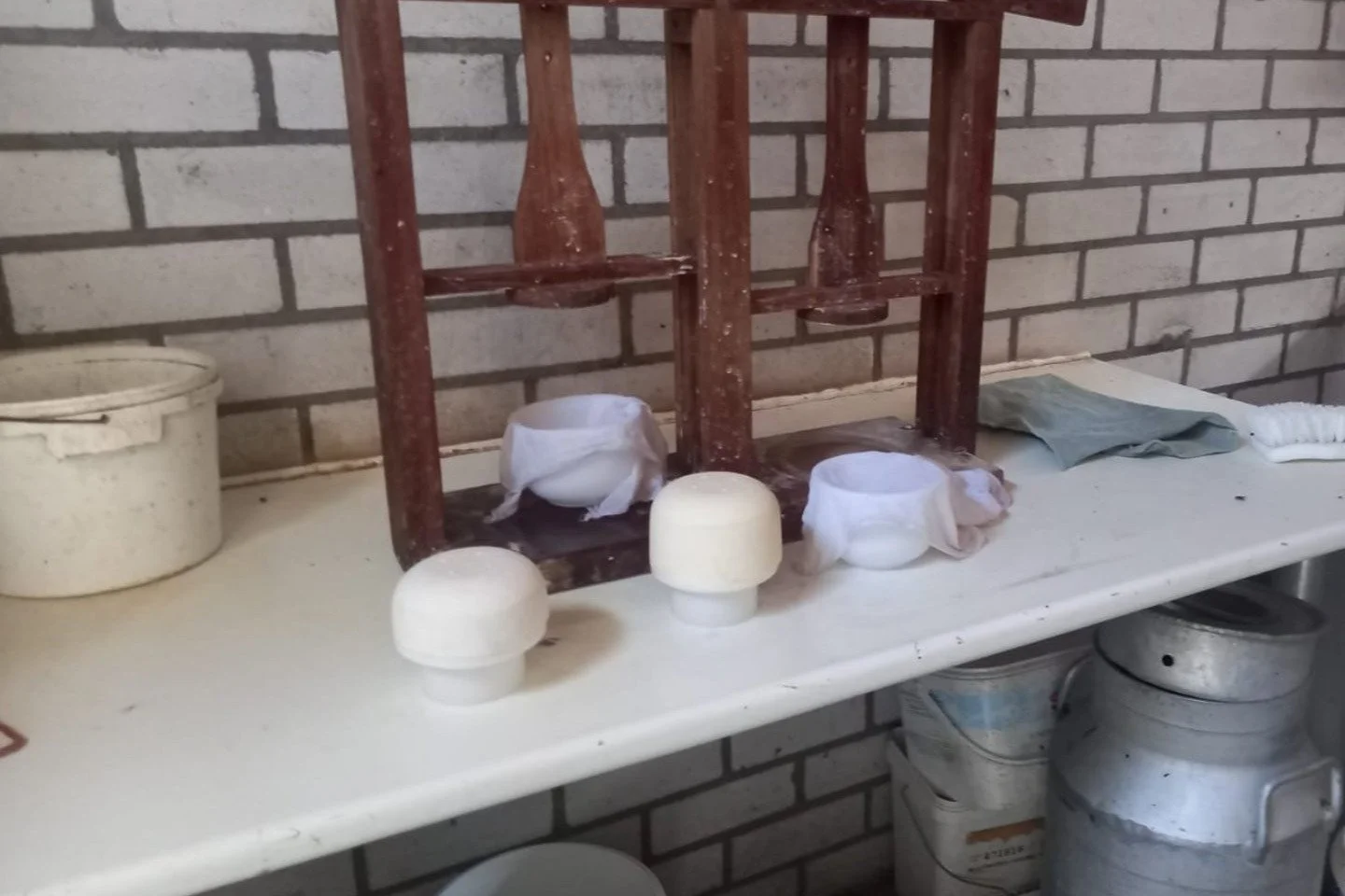 Maak je eigen kaas op de boerderij in Lopik