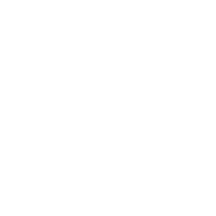 Icon of a square with two downward arrows inside