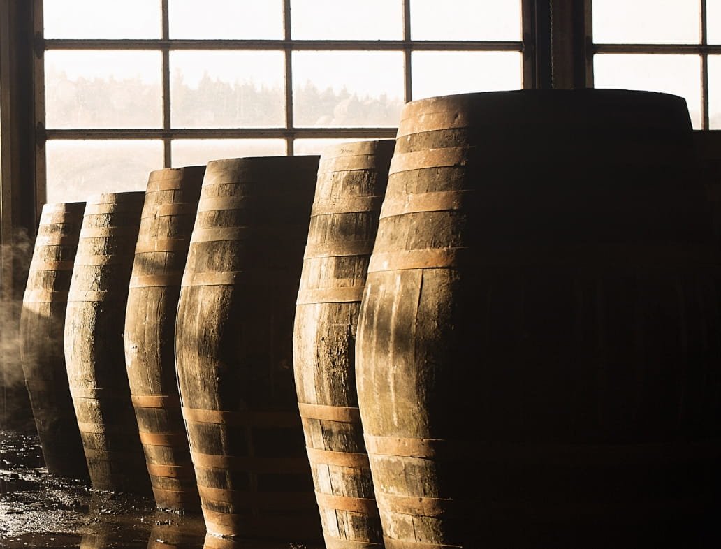 A row of large wooden barrels containing mezcal, in front of a window, with steam rising for the fermentation process.