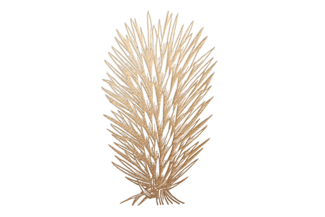 An illustration of an agave plant variety called cuishe agave.