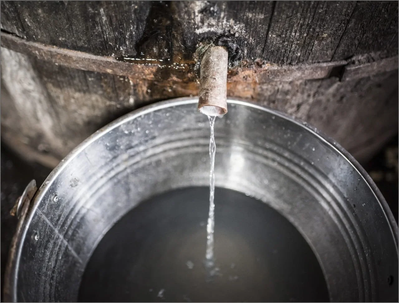 A faucet dripping mezcal into a metal bucket in the distillation process.
