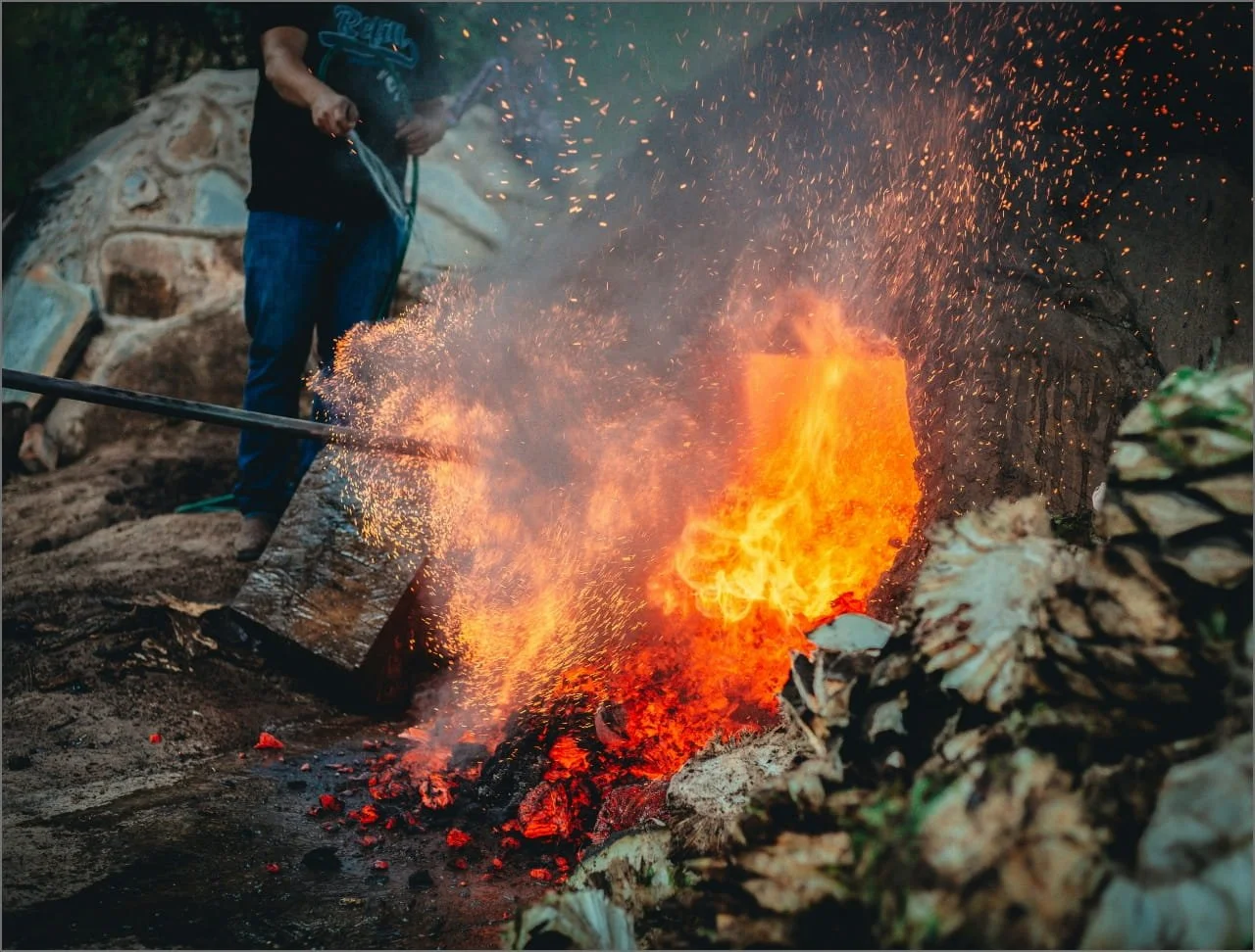 A depiction of agave plant hearts around fire, in the process of making top rated mezcal during agave roasting