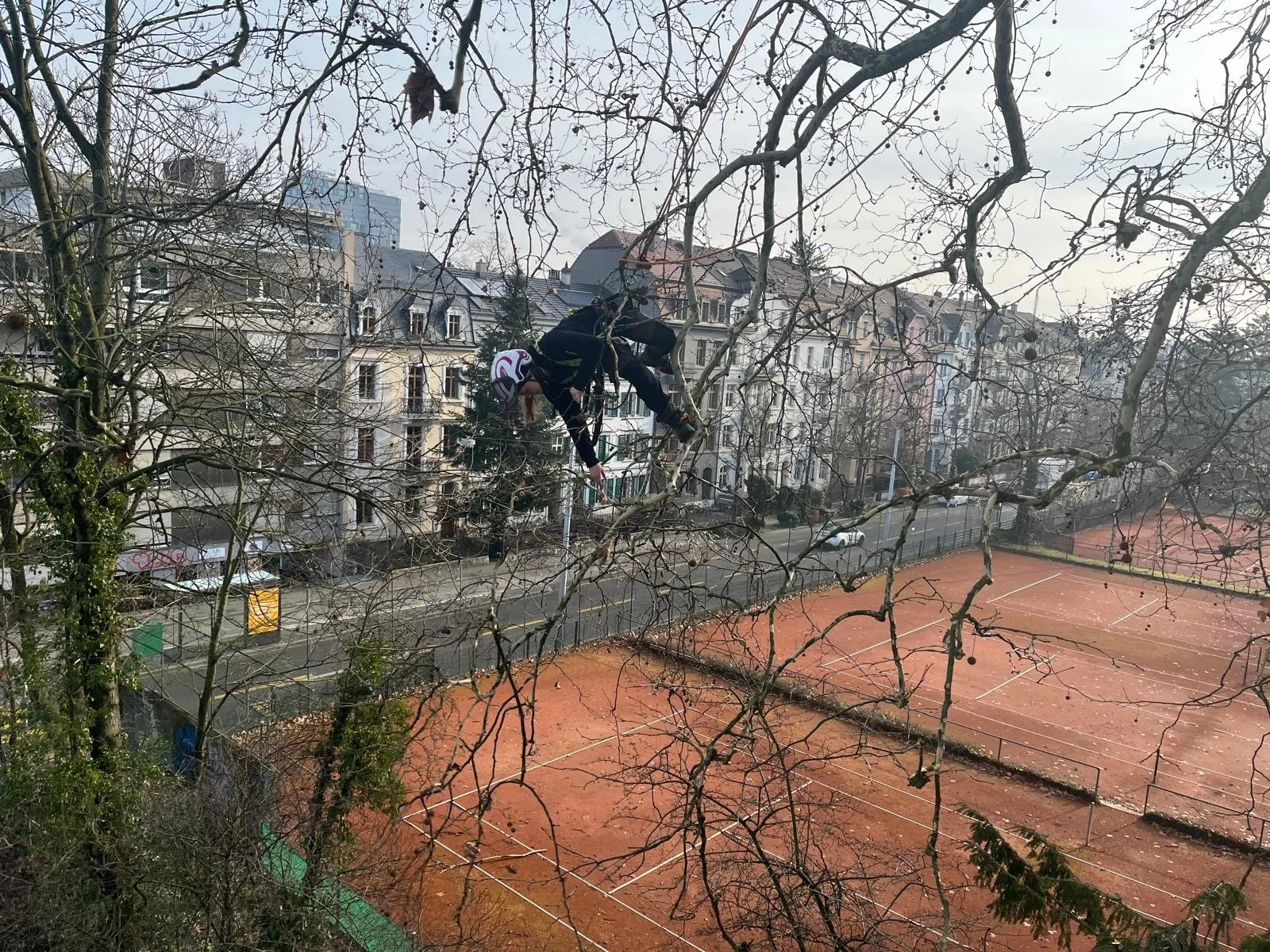 Tree Pruning. Netherlands