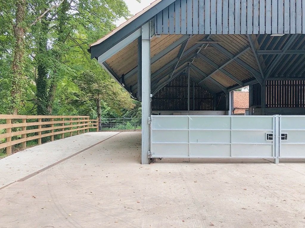A covered outdoor structure with a wooden roof and metal supports, situated next to a paved area and surrounded by green trees.