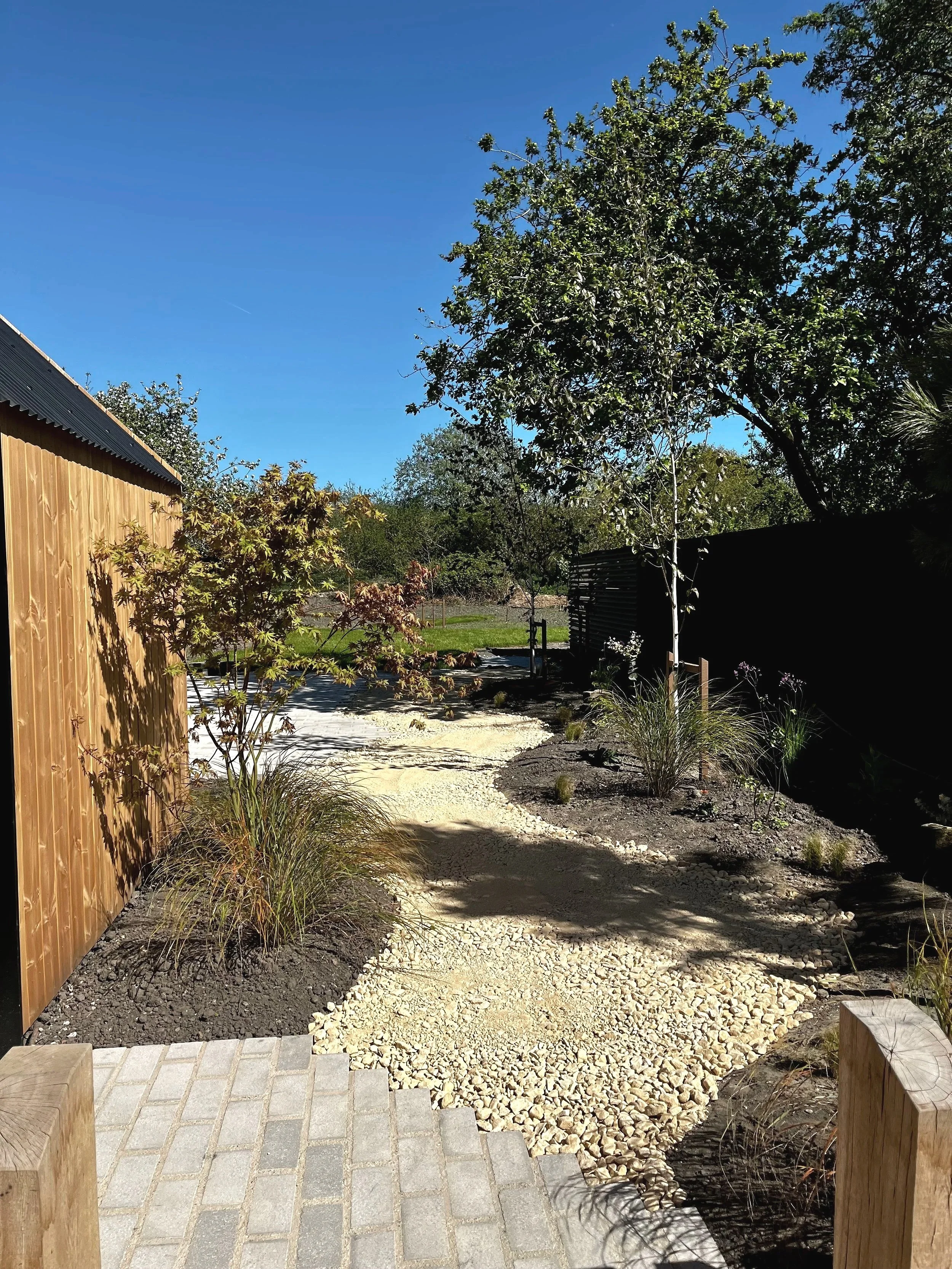 A backyard garden with a wooden fence on the left side, a gravel pathway, and various small plants and trees, with a large tree on the right side and a clear blue sky overhead.