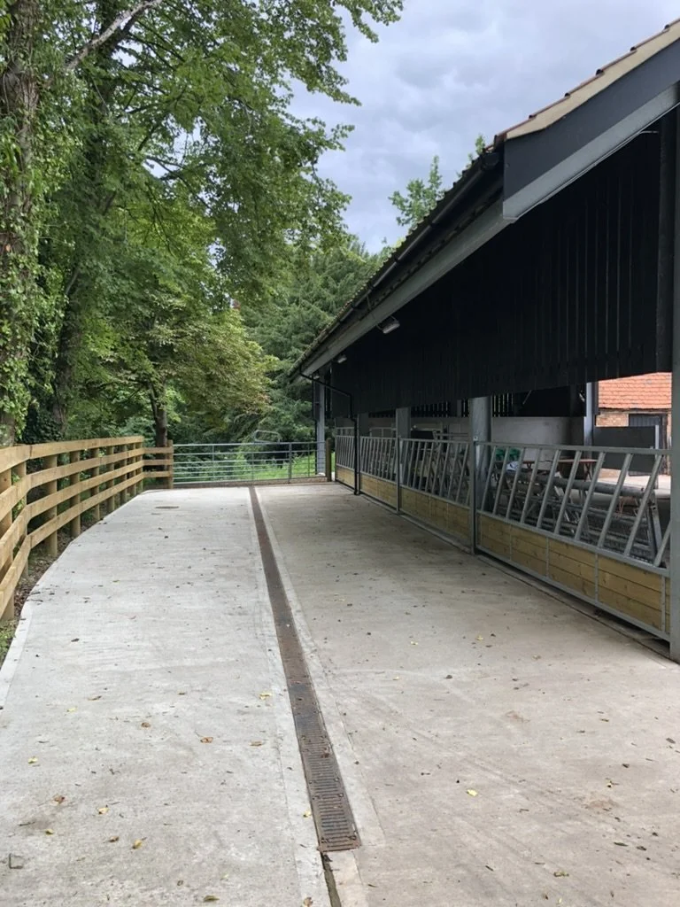 Empty outdoor concrete pathway next to a black building with a sloped roof, surrounded by green trees, with a wooden railing on one side and ladders leaning against the building.