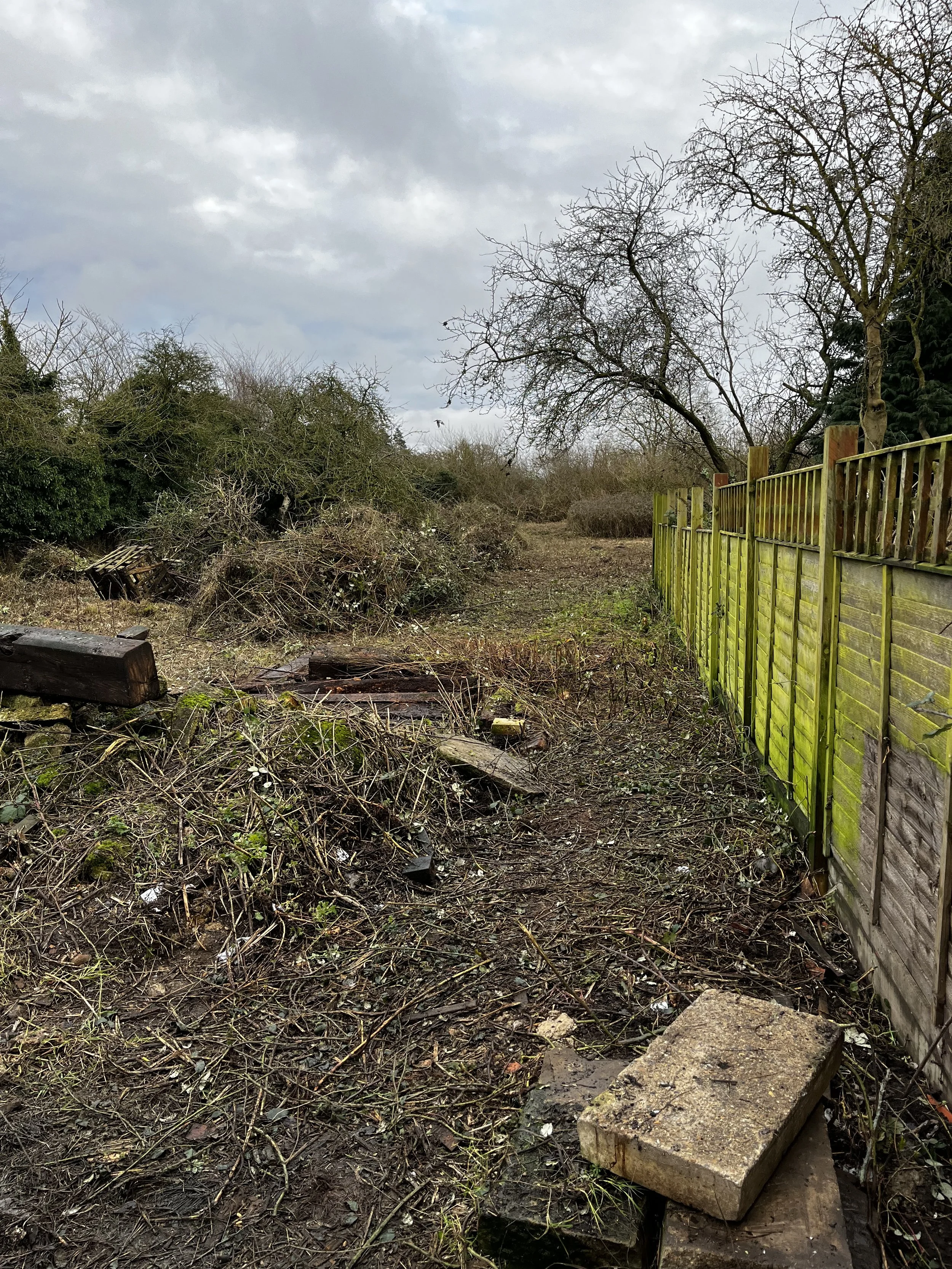 A backyard area with a green wooden fence on the right and overgrown bushes and trees on the left, with fallen branches, debris, and a cloudy sky overhead.