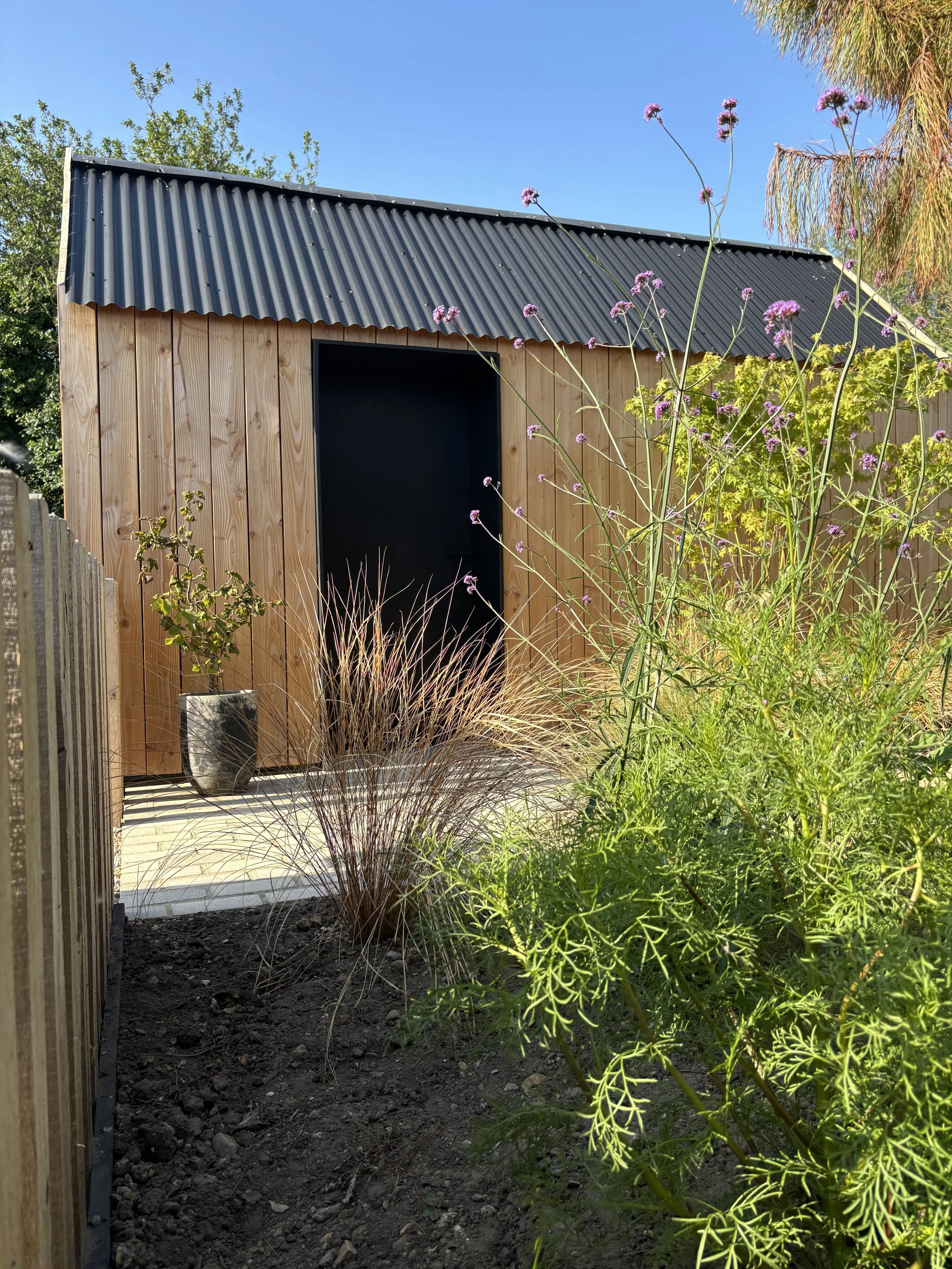 A small wooden garden shed with a black corrugated metal roof, surrounded by green plants and purple flowers, with a clear blue sky in the background.