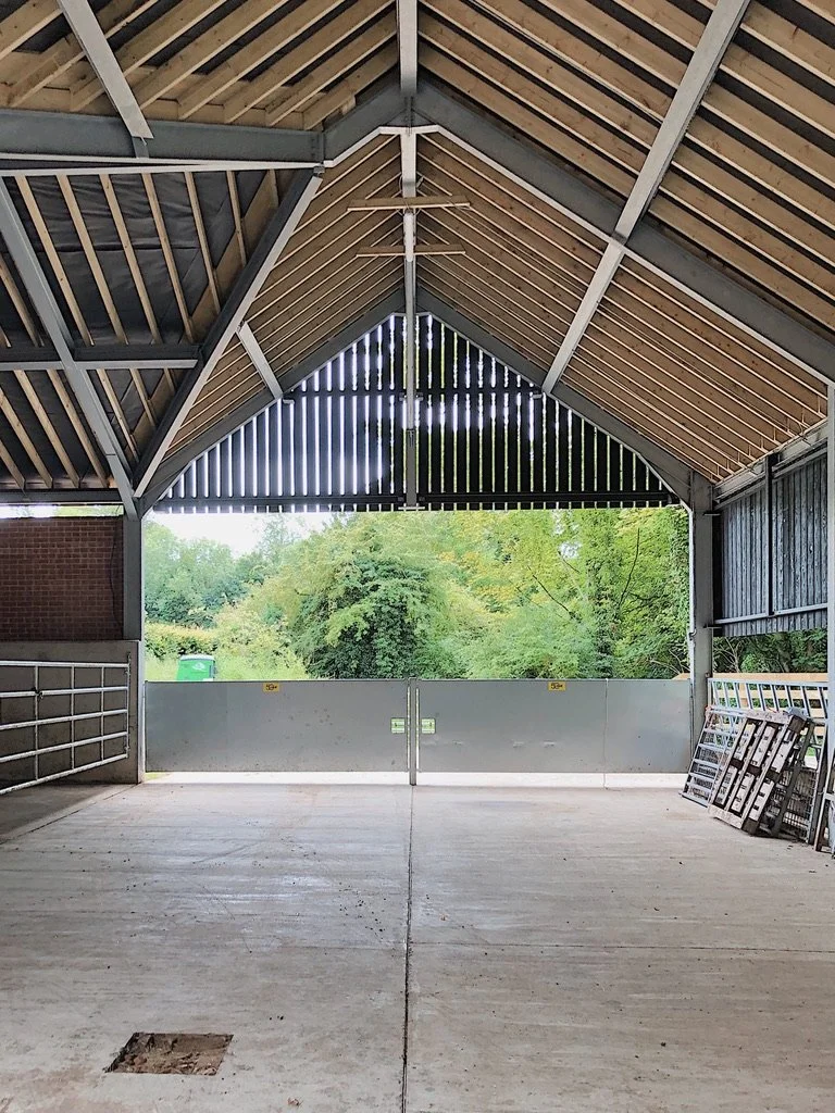 View of an empty indoor arena or stable with a view of green trees outside, metal gate, and stacked picture frames on the right side.