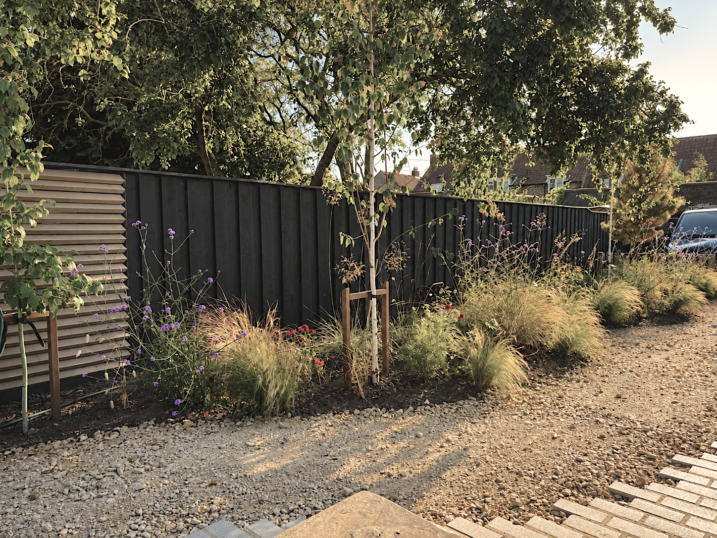 A landscaped garden with flowering plants, ornamental grasses, a young tree supported by a stake, a black wooden fence, and houses in the background, on a sunny day.