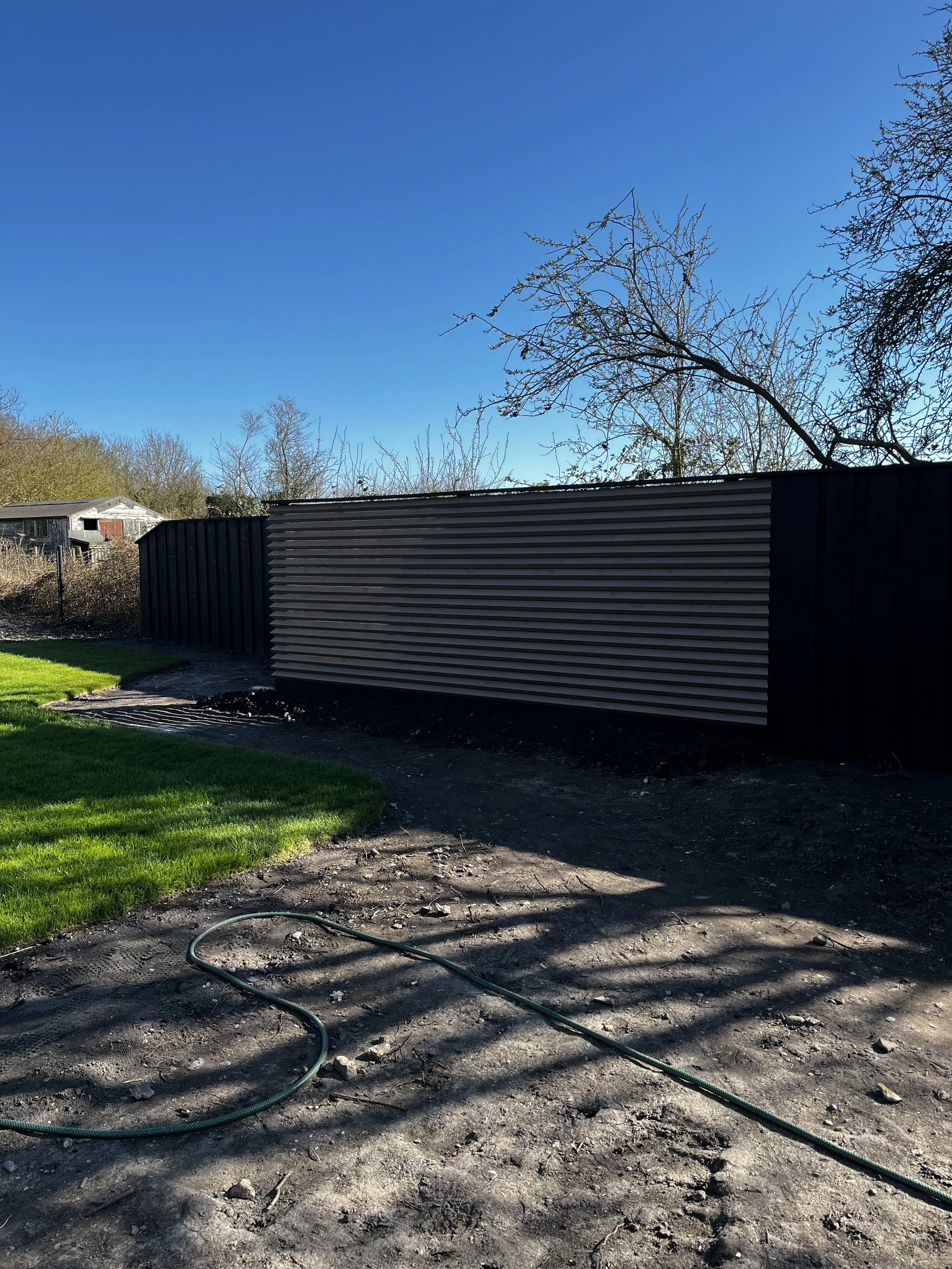 Backyard with newly installed fence, green grass, and bare trees under a clear blue sky.
