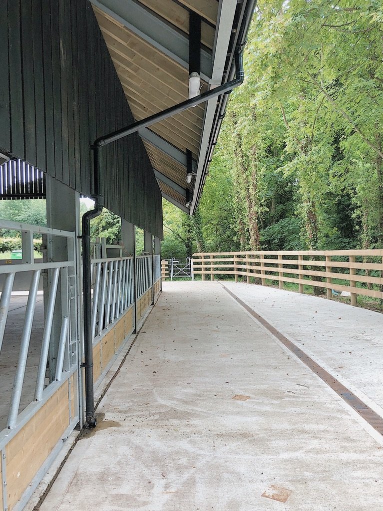 Empty concrete pathway next to a stable or barn with fencing, surrounded by green trees.