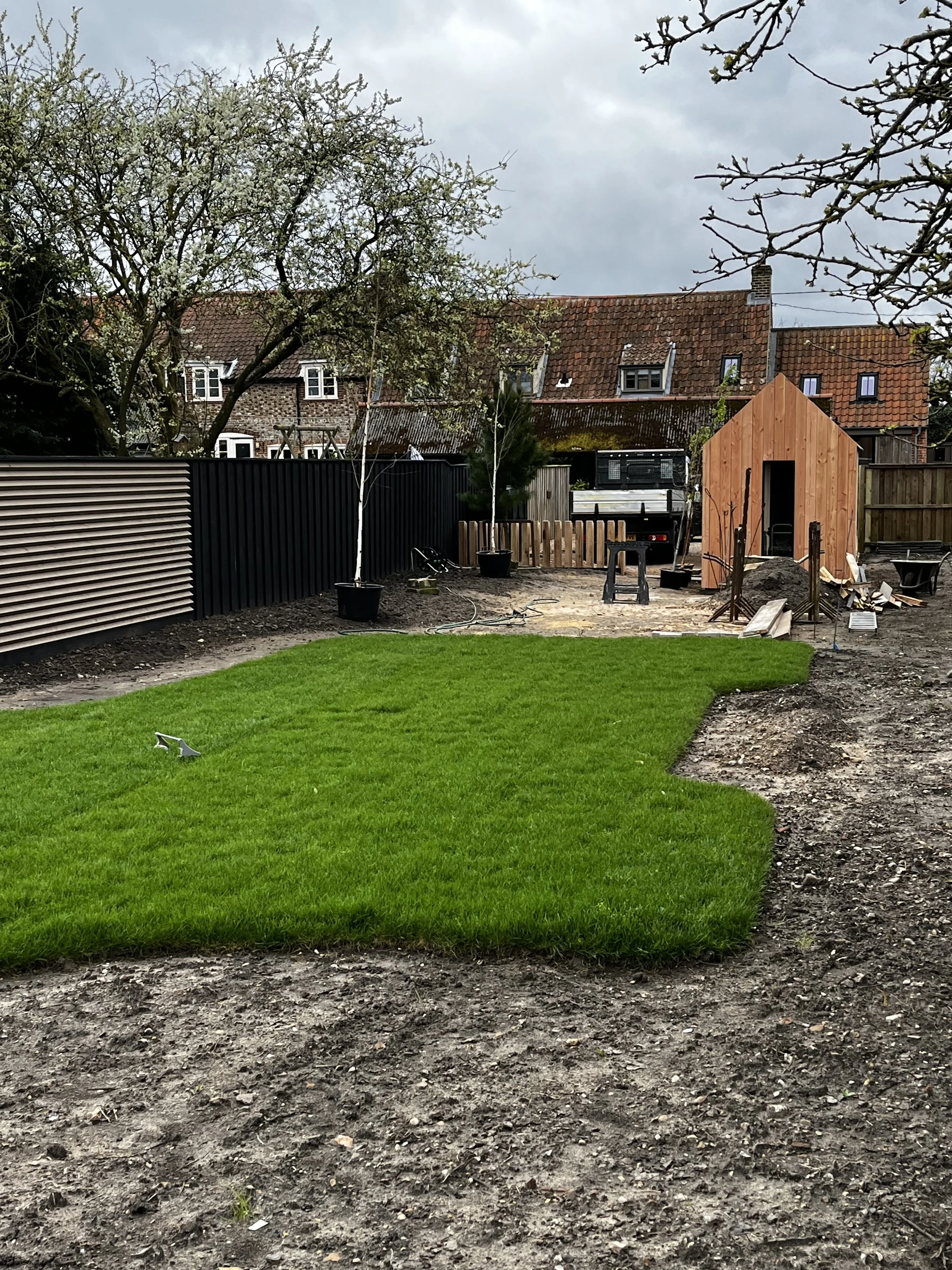 Backyard garden under construction with a small wooden shed, potted trees, a black fence, and a grassy lawn