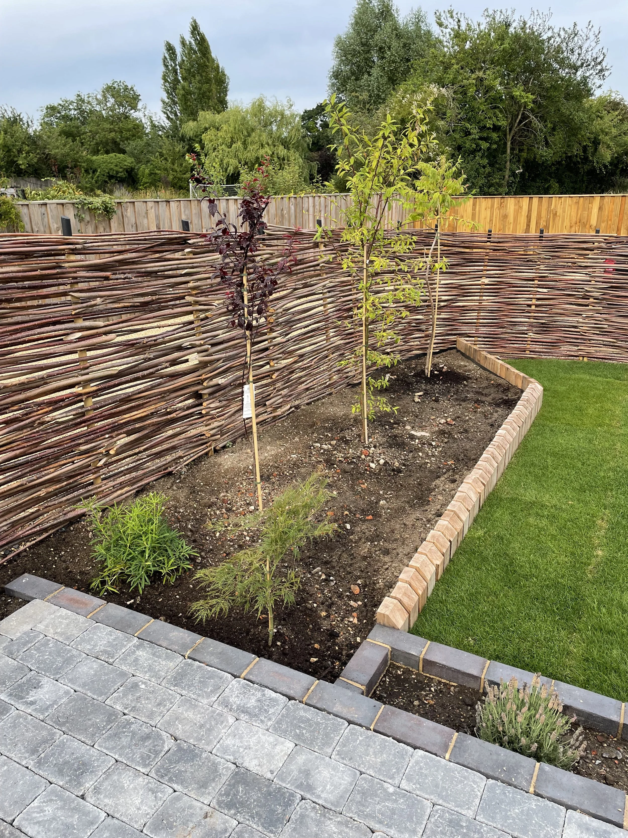 Garden bed with small trees and plants, surrounded by a woven wooden fence, next to a patio with gray stone pavers, and bordered by a brick edge and green grass, with taller trees and shrubs in the background.