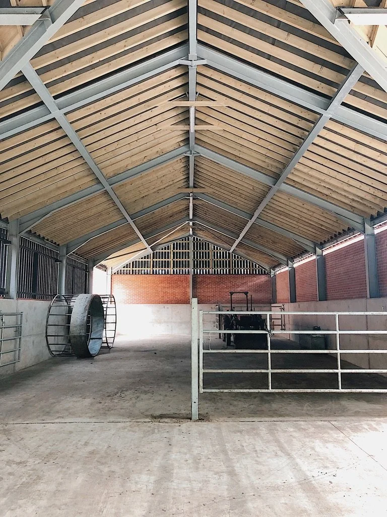 Empty indoor barn with a metal roof, concrete floor, and brick walls, featuring livestock equipment like a large wheel on the left and a small tractor or cart on the right.