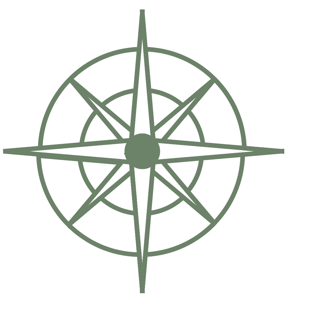 A graphic depiction of a compass rose with multiple pointed directions, centered on a black background.