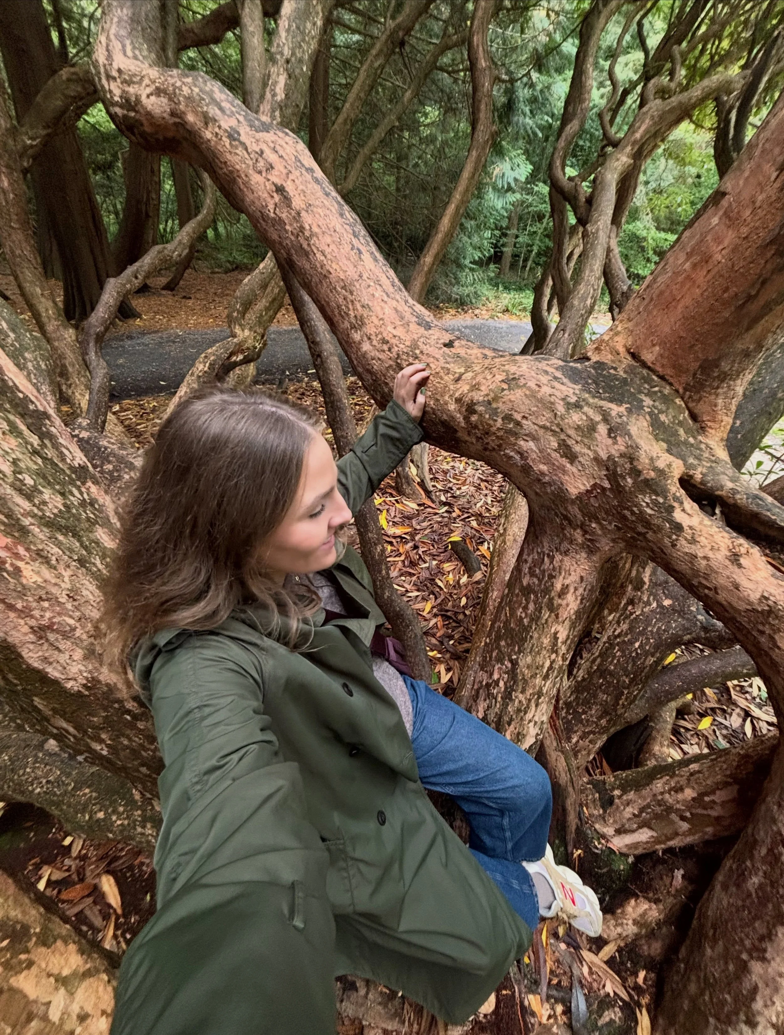 My week in glimmers ✨
~ Spent time in nature 

~ Reconnected with myself through conscious connective breathing @thesaucysoul_coachingstudio 

~ The glamour of double jobing: on site with a client in Dublin and planning an online event from the car ?