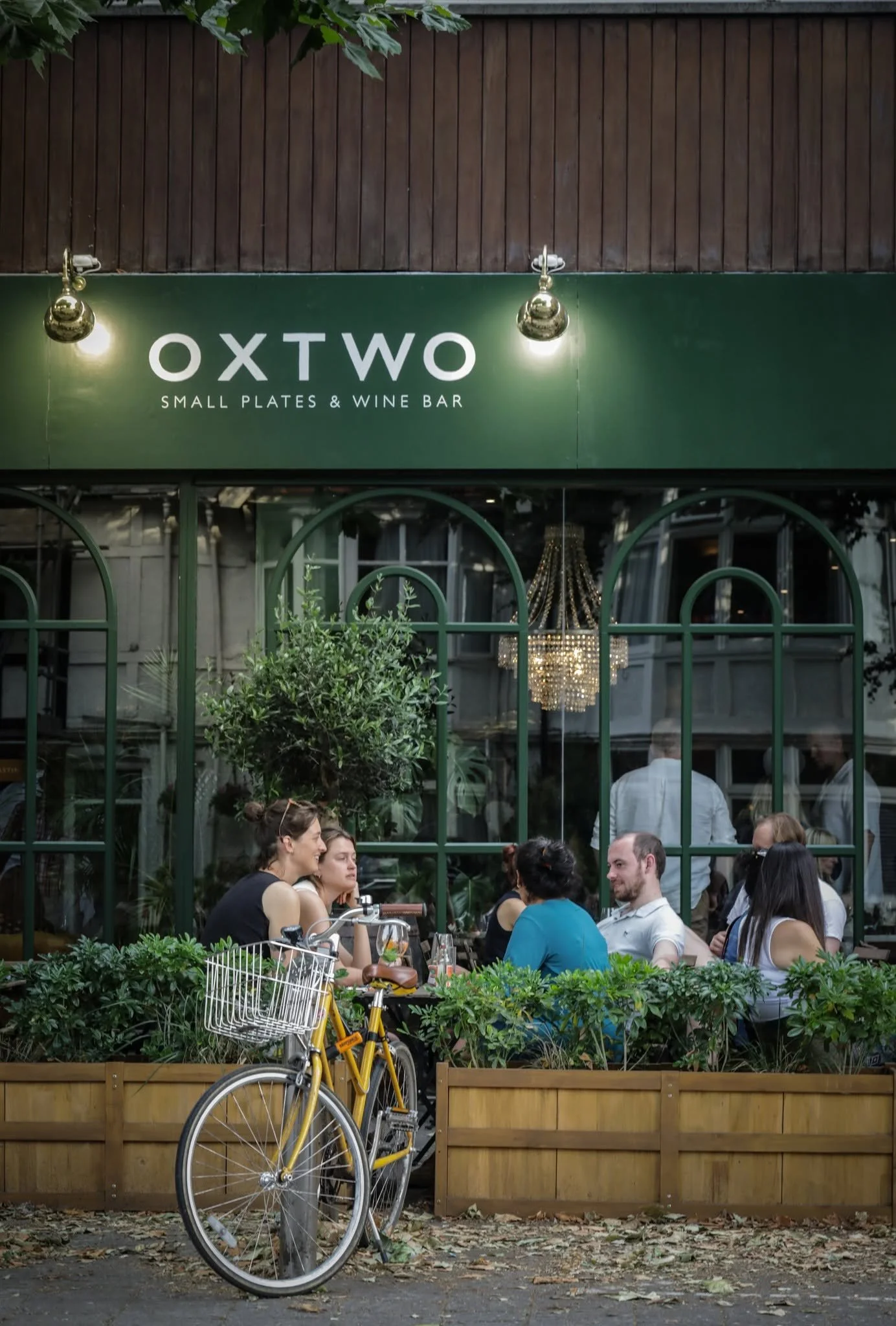 oxtwo11.jpg