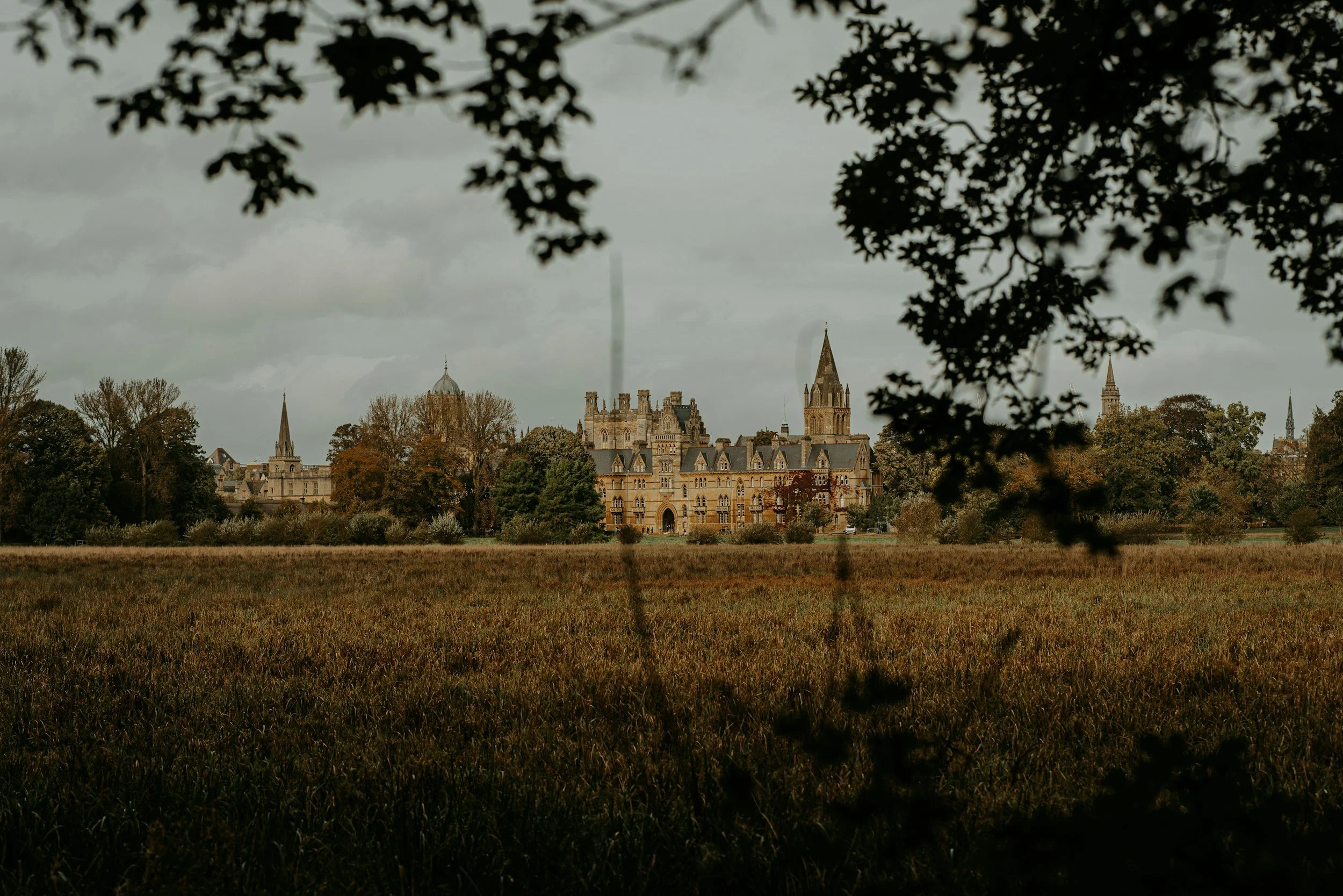 View of a historic castle-like building with multiple towers and spires, framed by dark tree branches and leaves, under a cloudy sky.