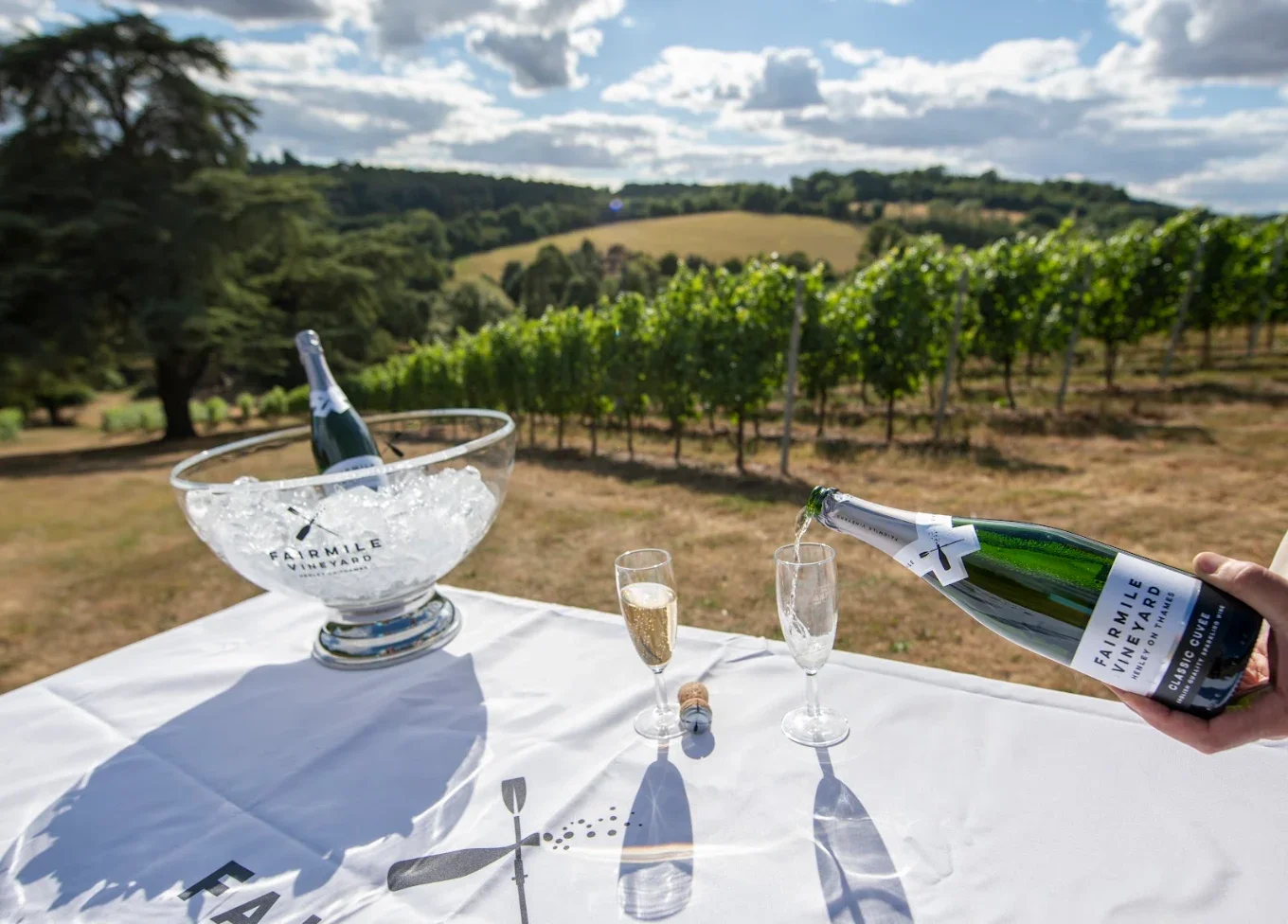 Last of the Summer at Fairmile Vineyard