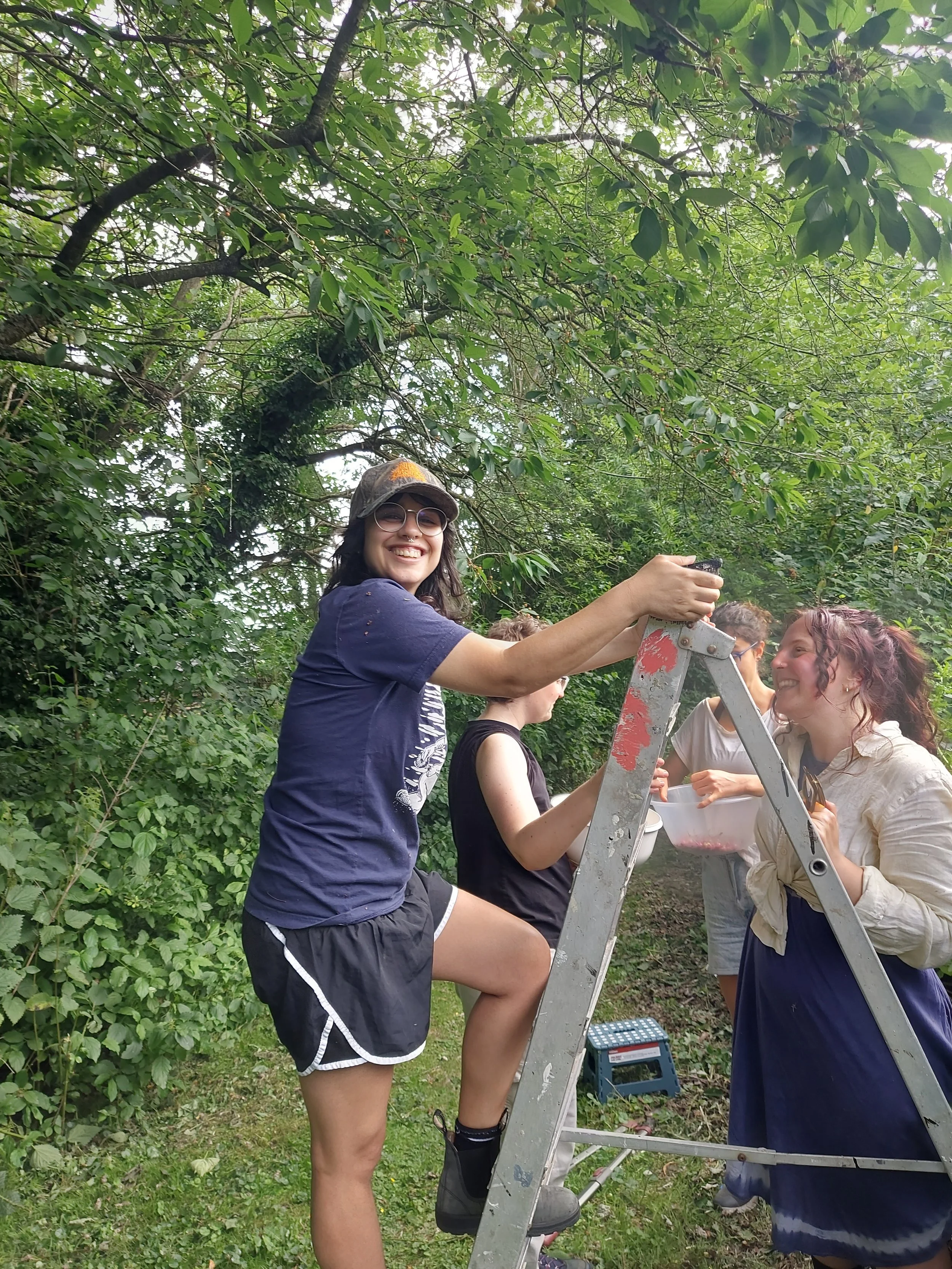 Volunteer Day
