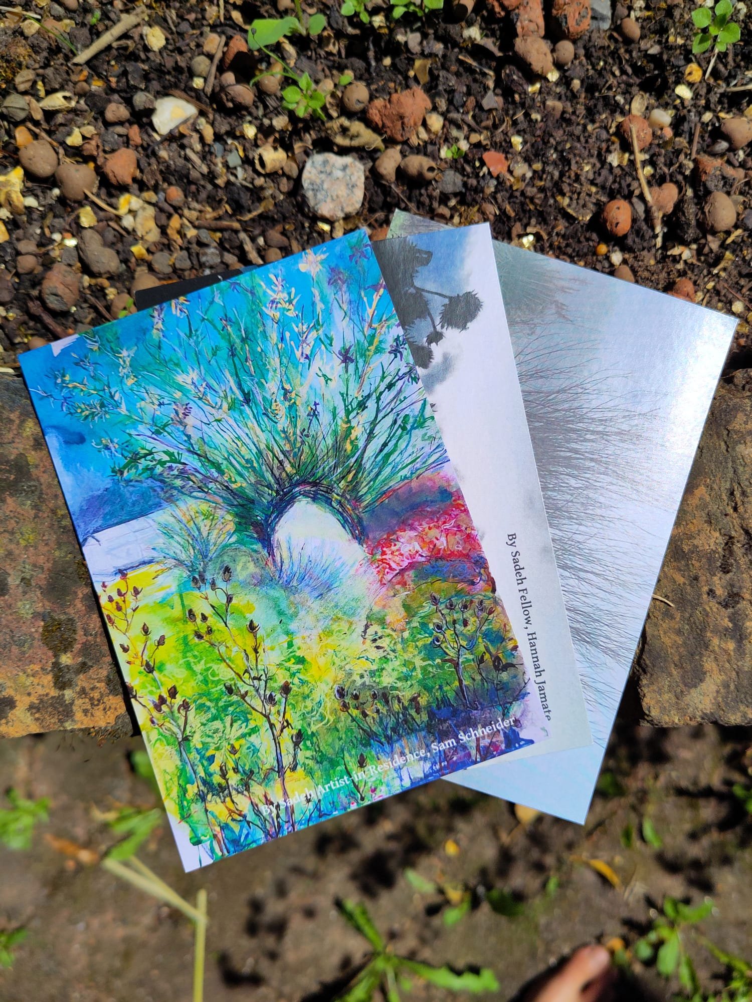 Post card