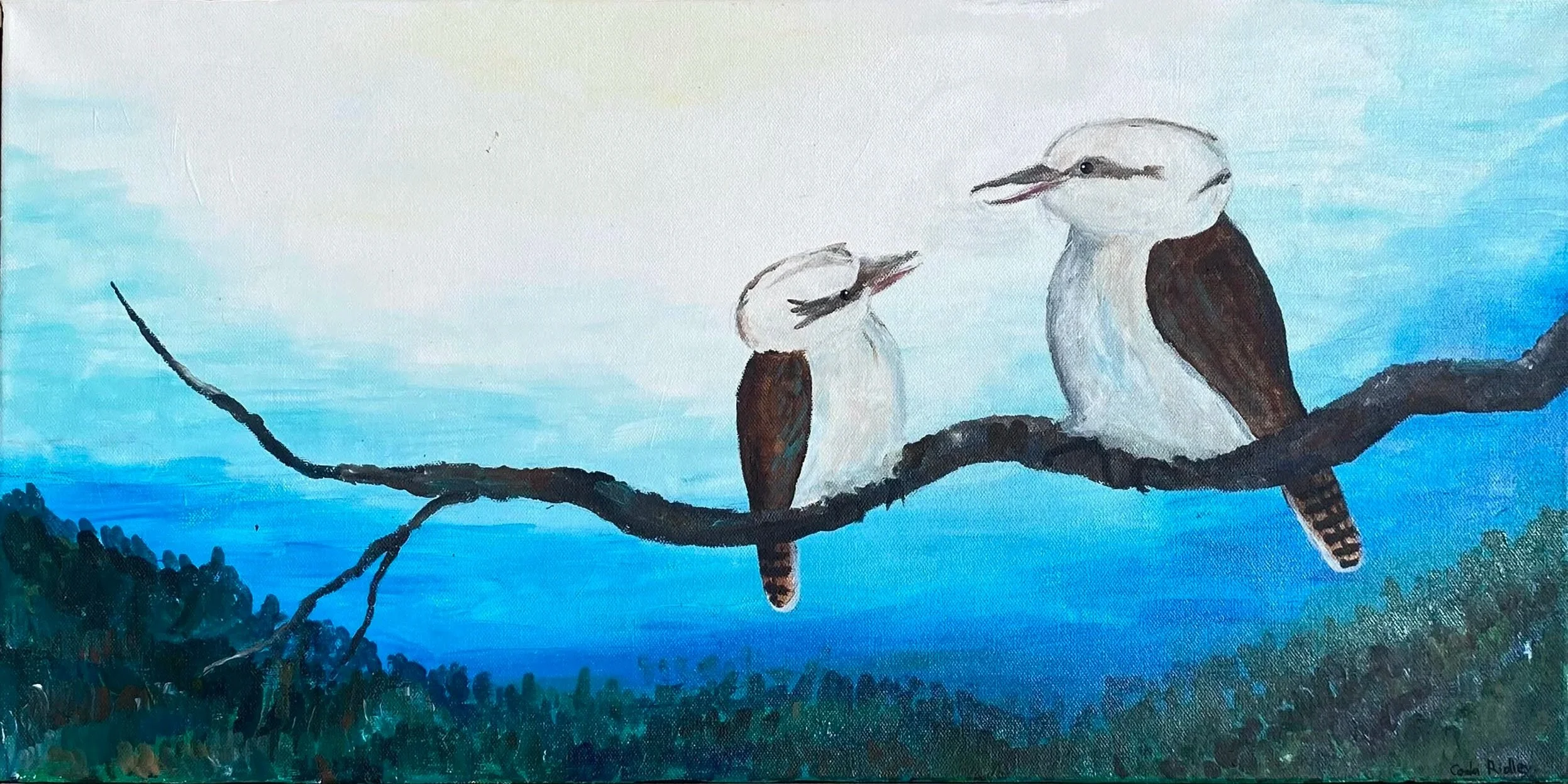 Two Kookaburras