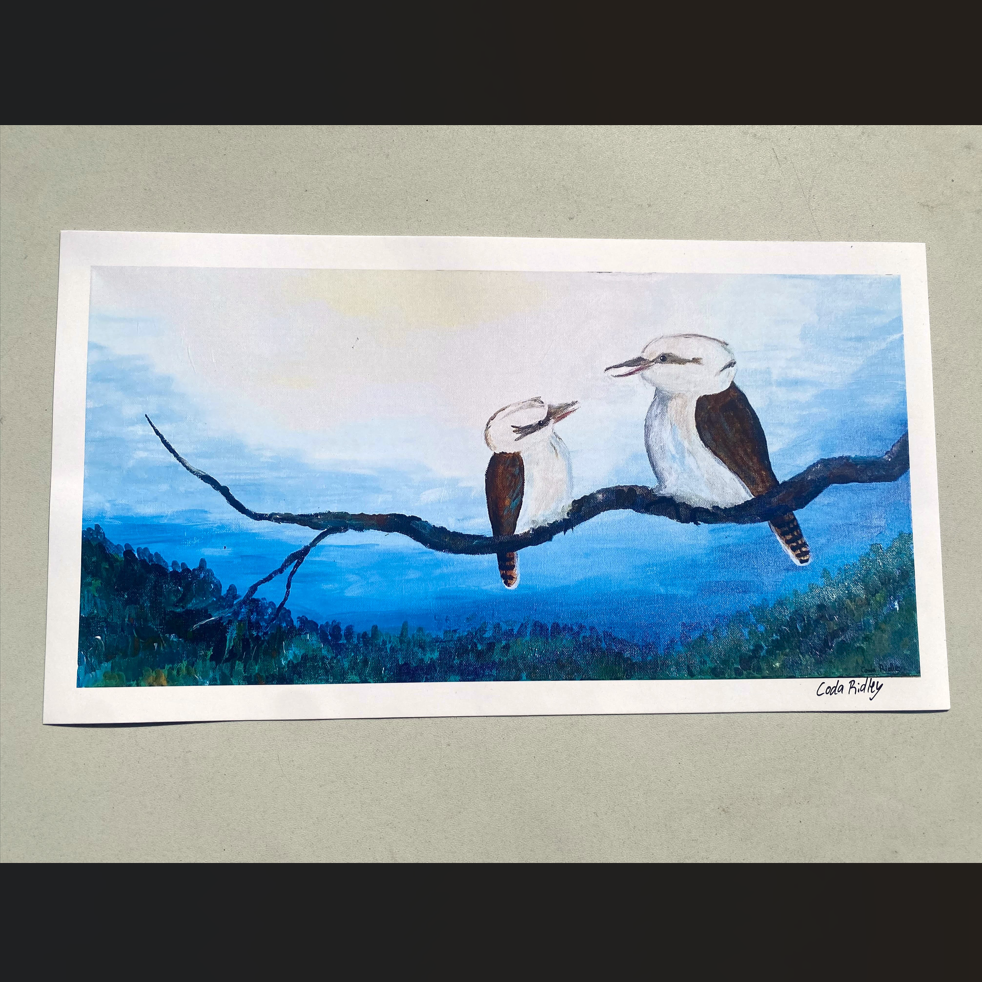 kookaburra rotated.png