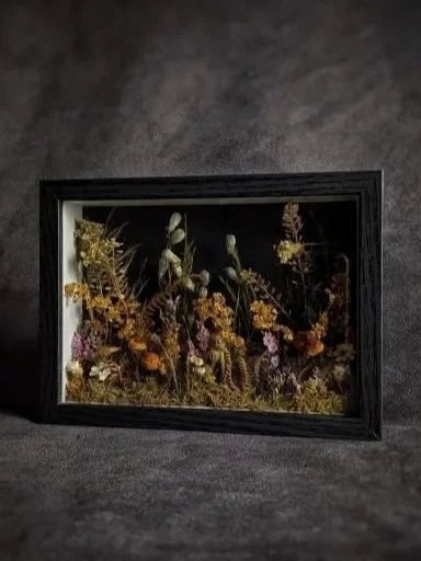A framed display of pressed flowers and plants on a dark background.