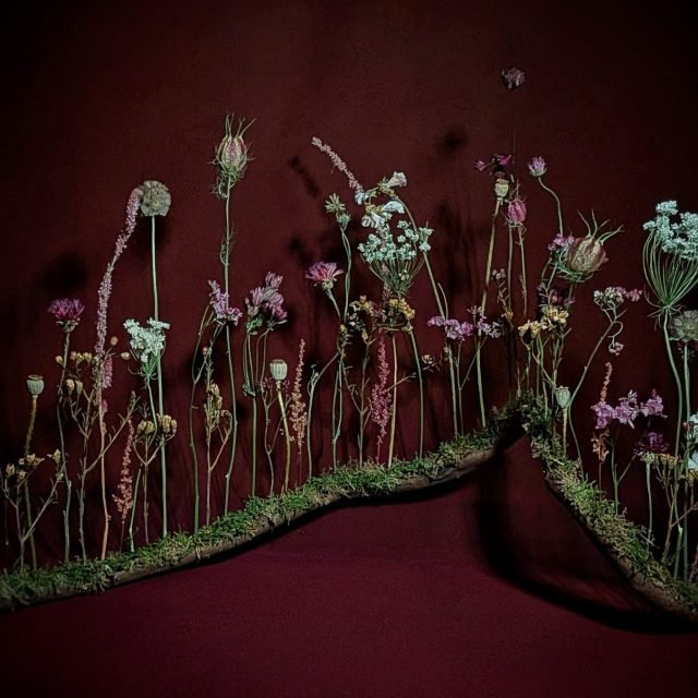 Arrangement of pressed and dried wildflowers on a dark red background.