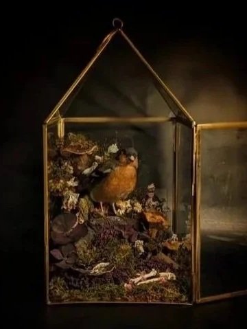 A decorative glass terrarium shaped like a small house, containing a bird figurine, moss, and dried flowers.