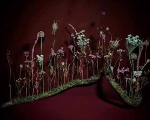 Dry, withered flowers arranged on a dark red background.