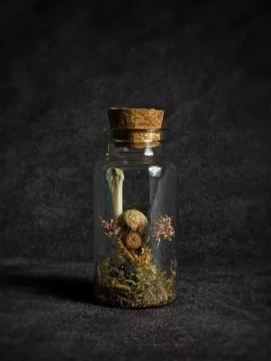 Small glass jar with a cork lid containing mushrooms and dried herbs against a dark background.