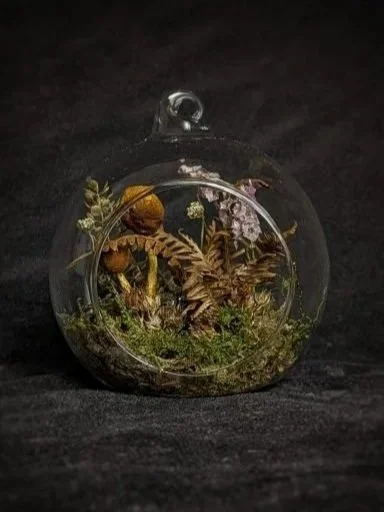 Glass terrarium with plants, ferns, and small decorative objects inside, set on a dark surface.