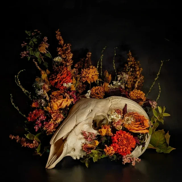 image-640x640.webp