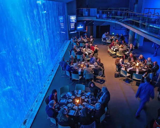 Monterey Aquarium