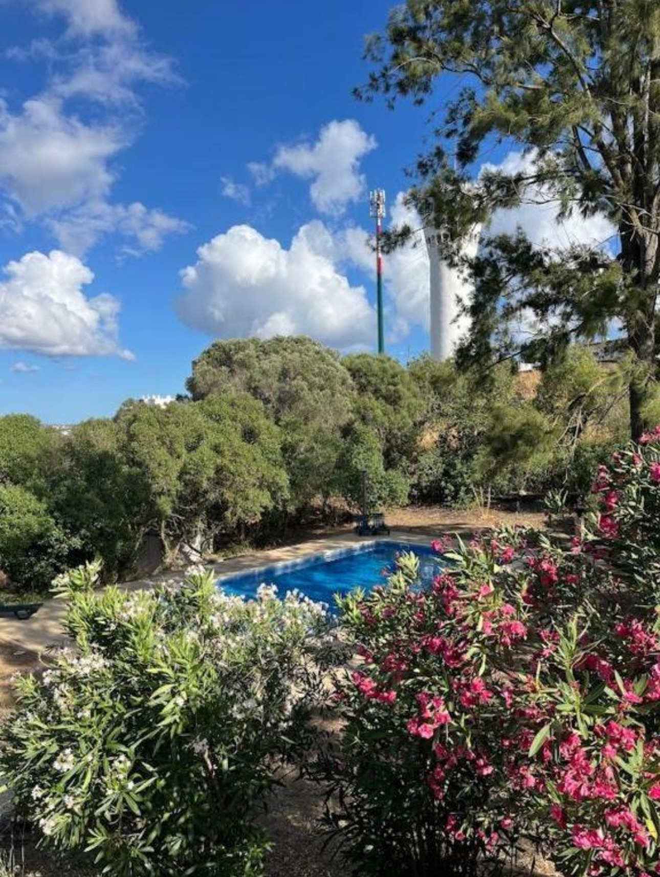 HI-Portimao-pool-and-garden.png