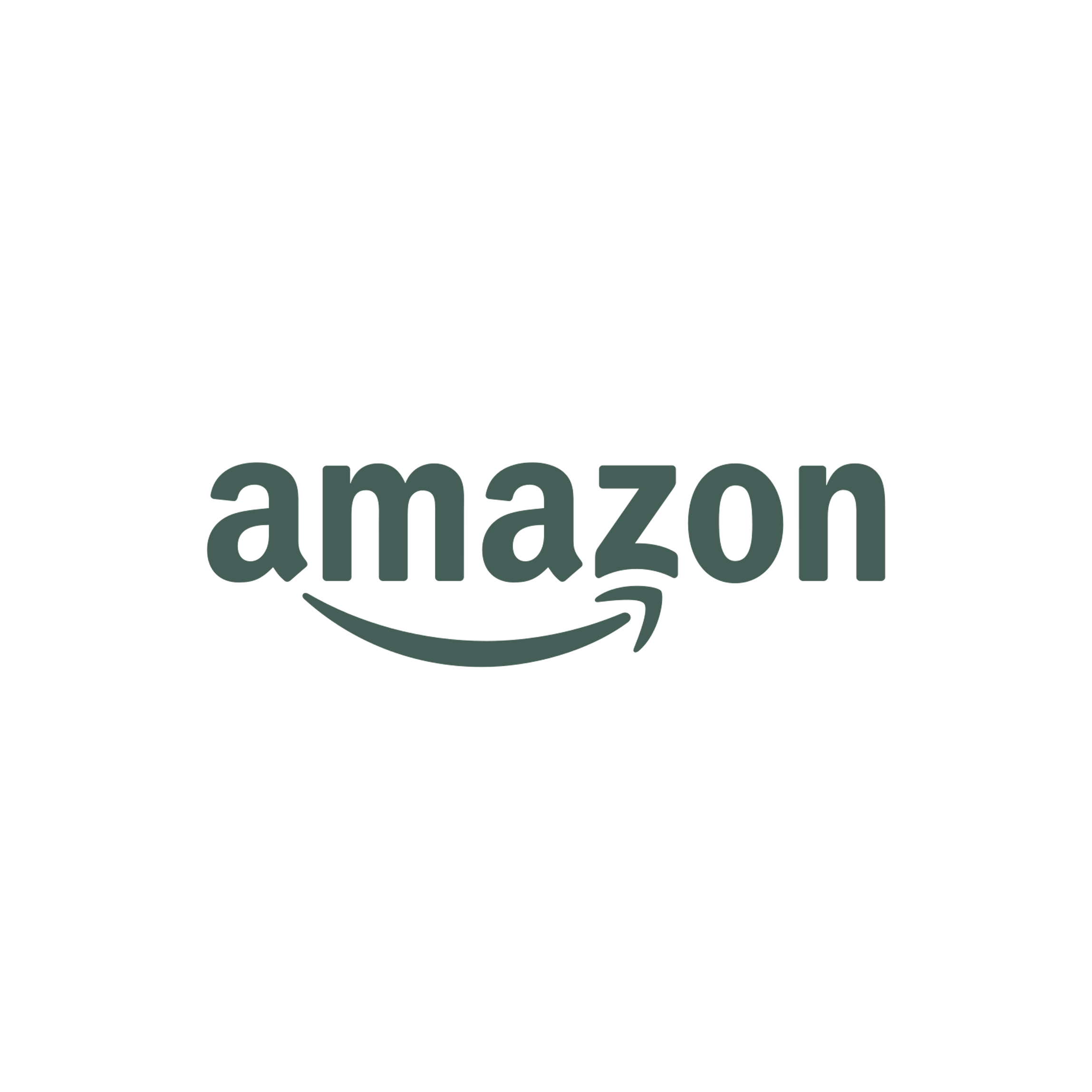 Amazon_v4.png