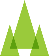 Styled digital illustration of green pine trees on a black background.