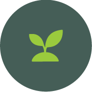 Icon of a sprouting plant with two leaves inside a dark green circle