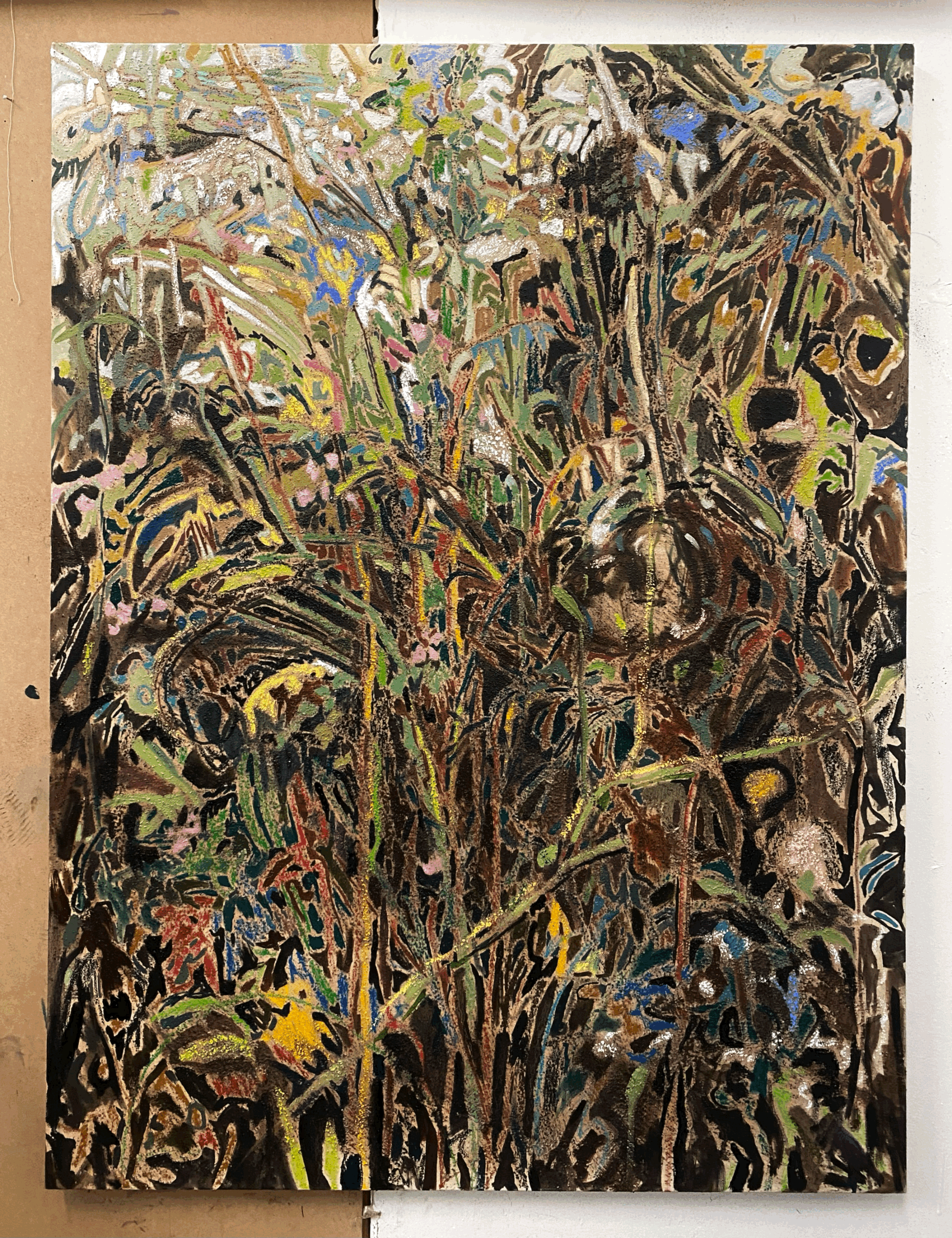 tempImageFpd8A0.gif