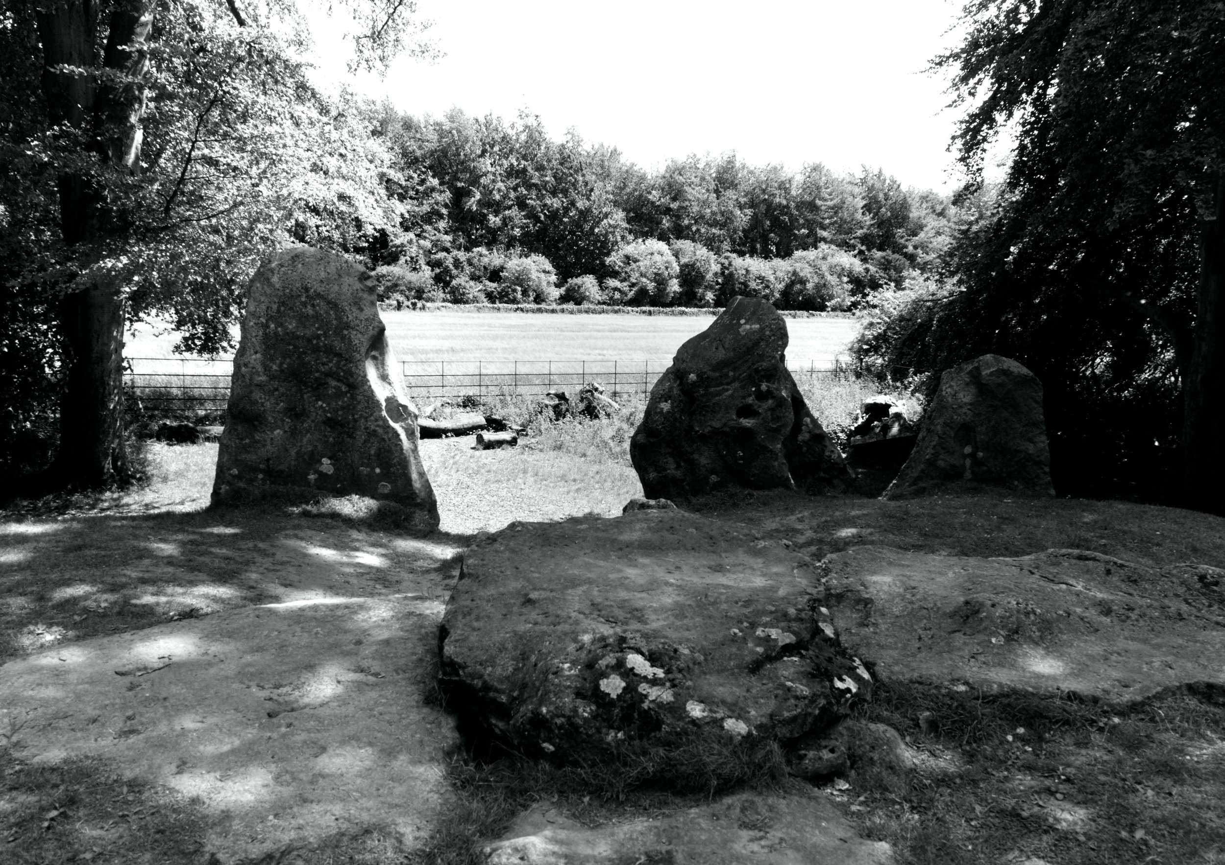Wayland’s Vigil | Fine Art Photographic Print