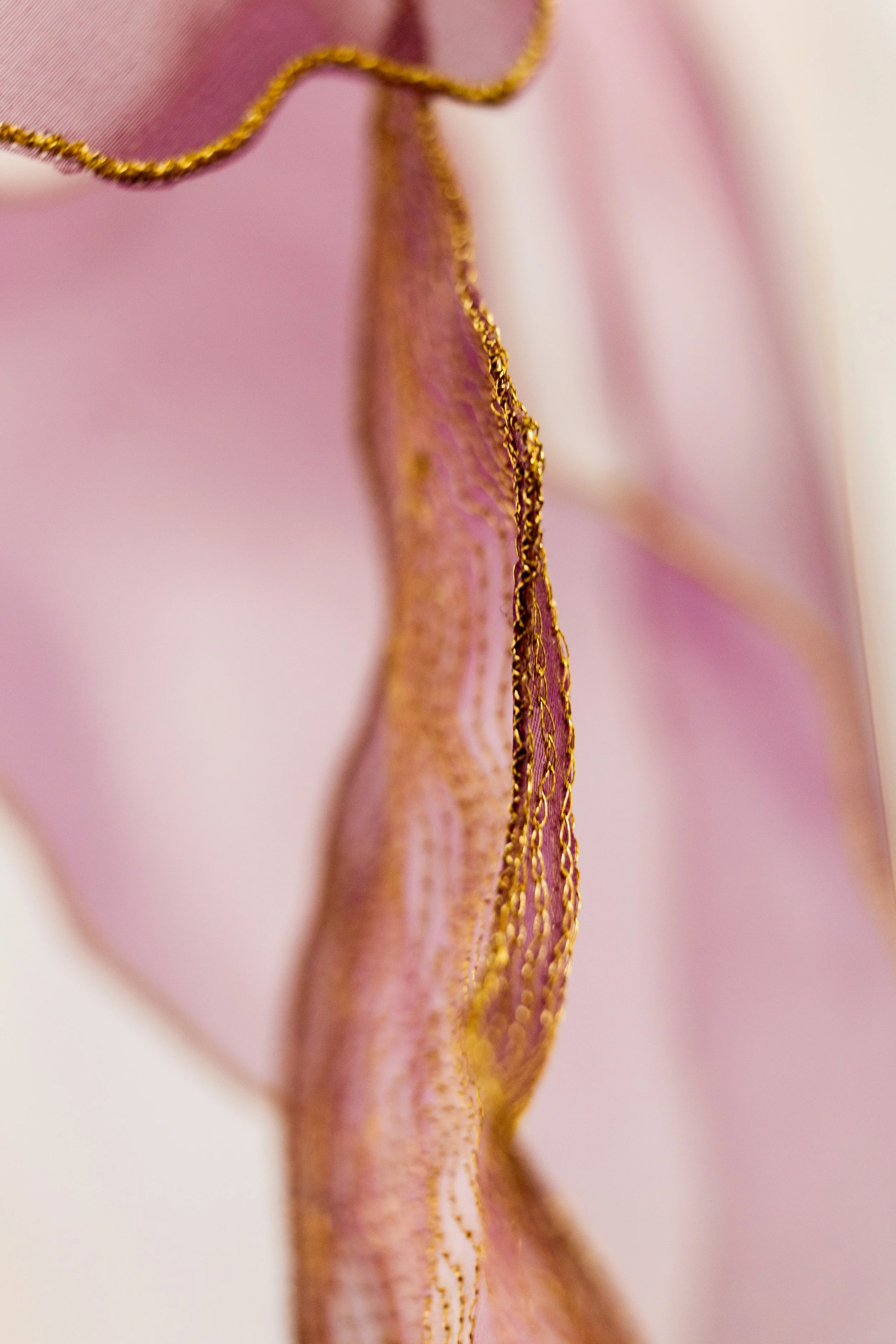 1S3A8336.jpg