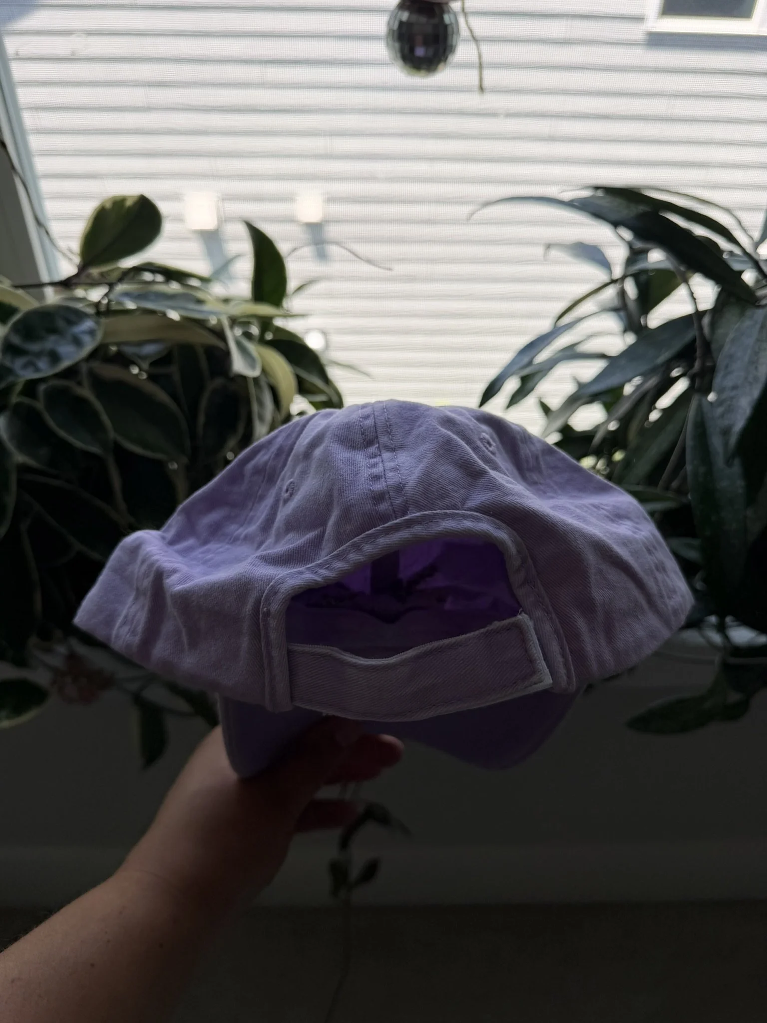 IMG_9850.JPEG