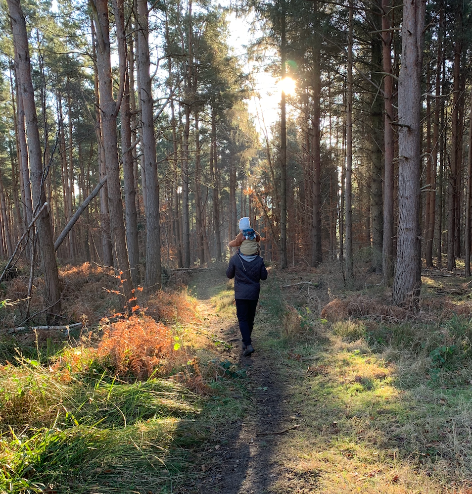 A person walking on a forest trail with a child on their shoulders during sunset.