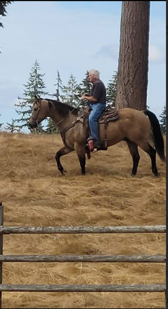 A man riding a brown horse on a grassy hillside near a tree with a fence in the foreground.