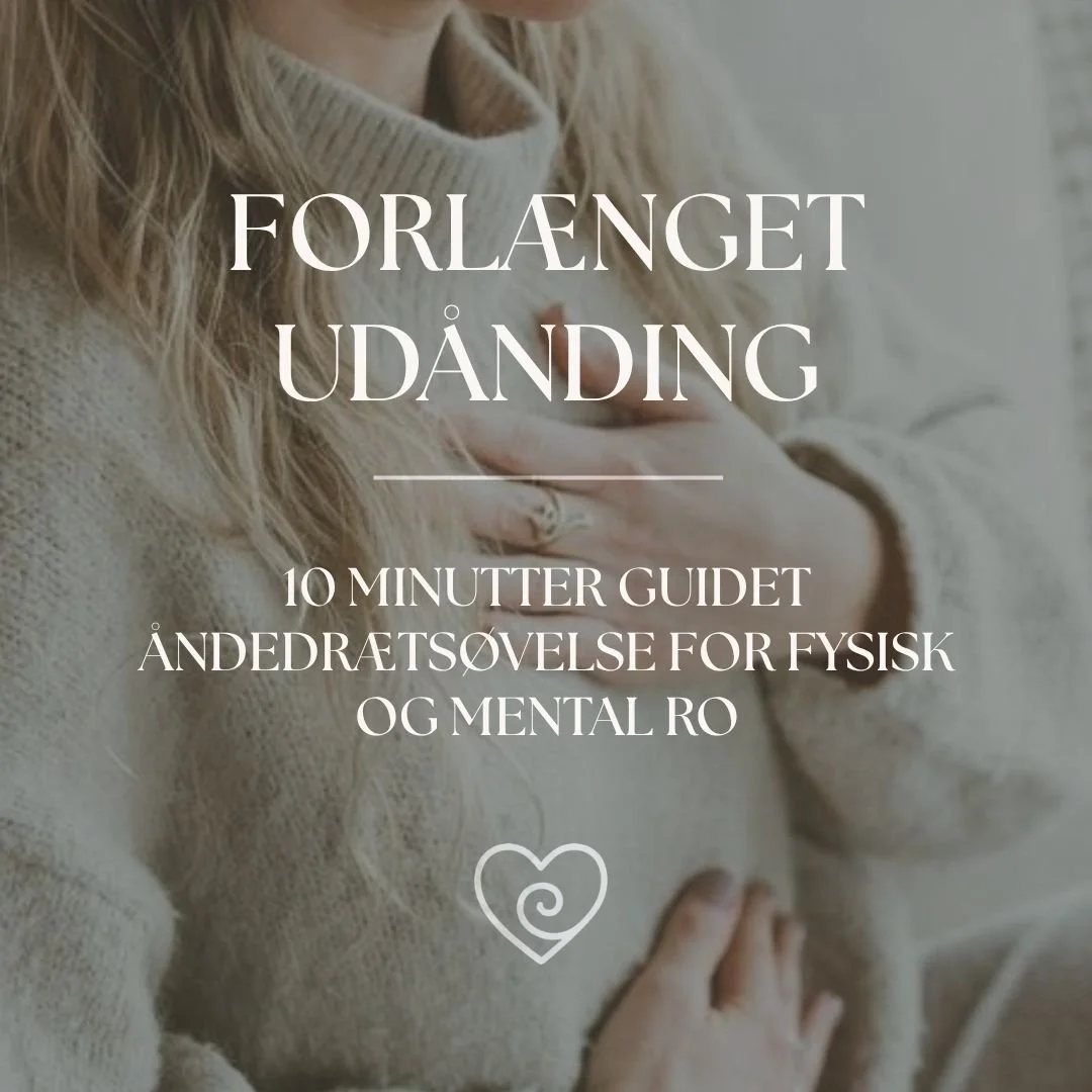 DOWNLOADS COVER BILLEDE HJEMMESIDE.jpg