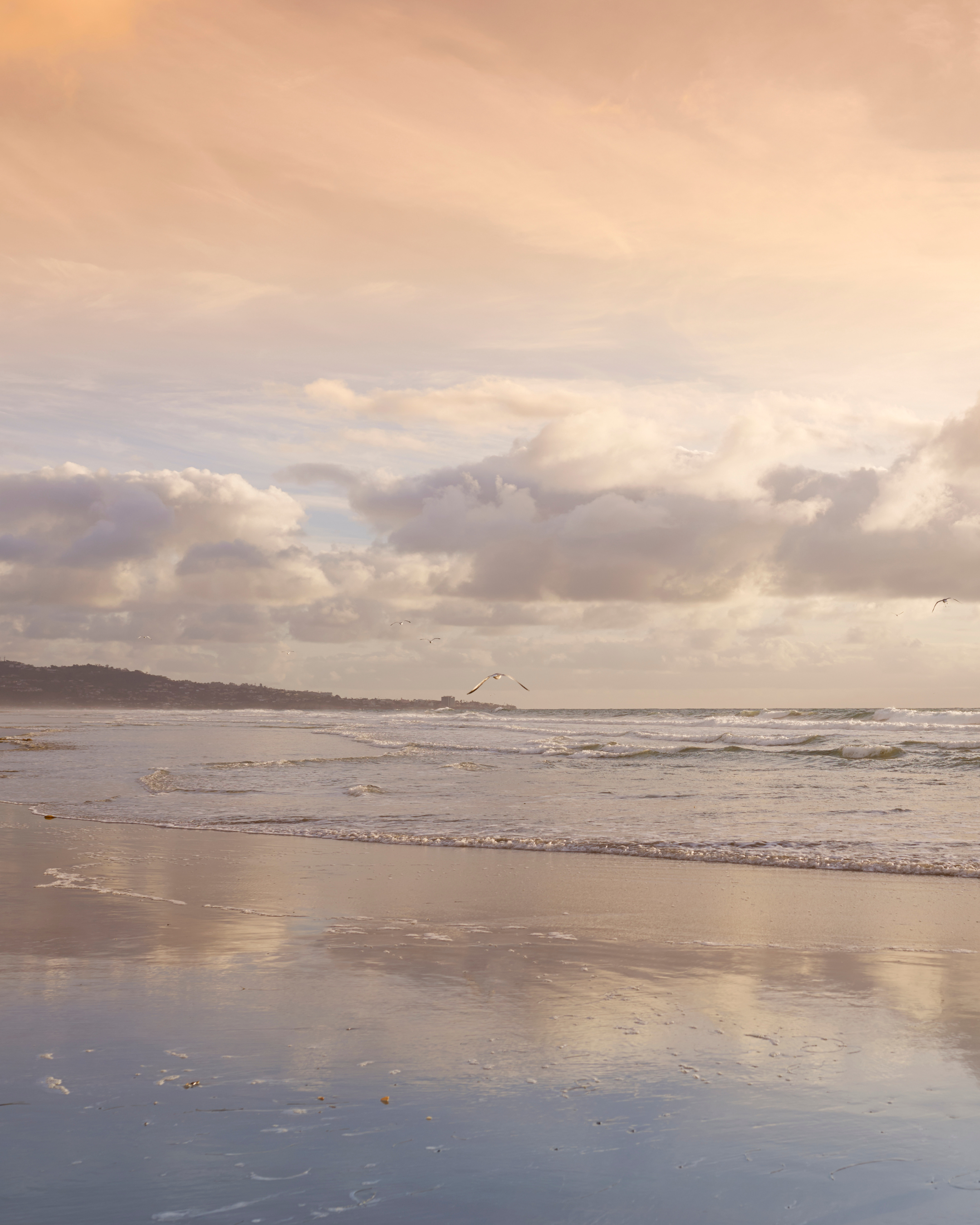A coastal scene during sunset with a sky filled with soft pink, orange, and gray clouds, and a horizon with distant hills. The ocean has gentle waves that reflect the colors of the sky, and seagulls are flying over the water.