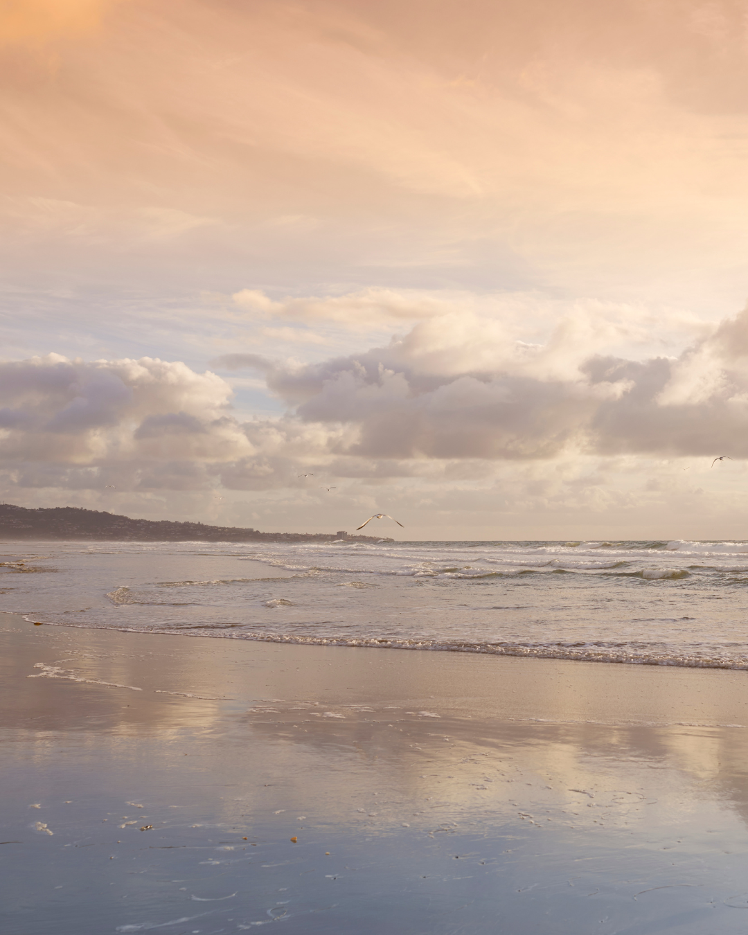 Beach with gentle waves and seagulls flying, cloudy sky with pink and orange hues, distant shoreline in the background.
