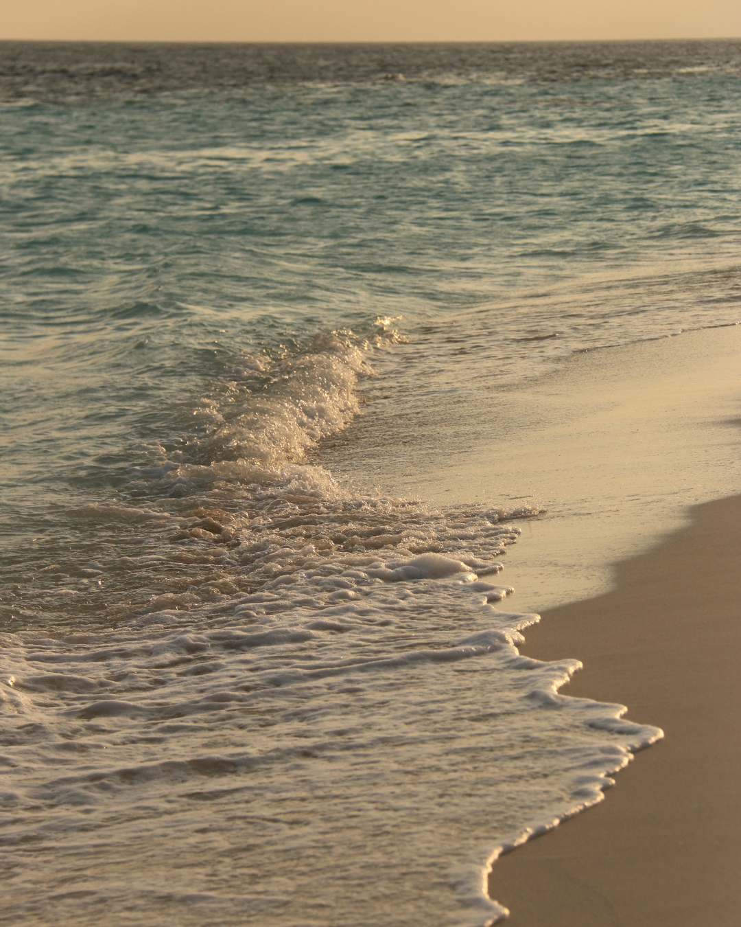 Sunset beach scene with gentle waves washing onto the sandy shore.